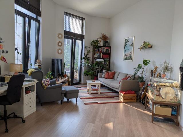 Gezellig appartement op Het Zuid, vlak bij het KMSKA