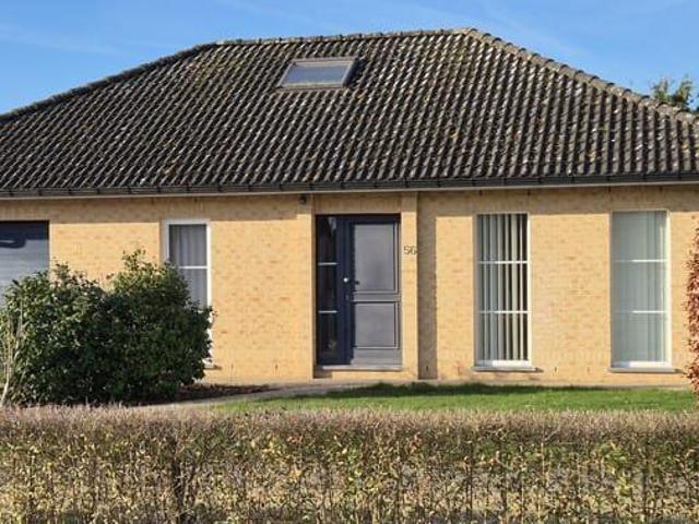 Gezellige gelijkvloerse open bebouwing te huur in Holsbee.