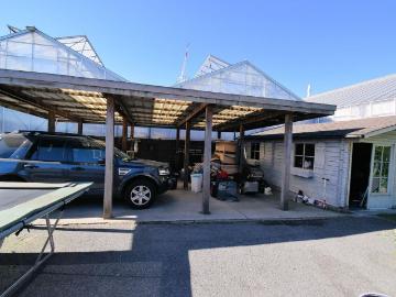 8800, Roeselare, Roulers, Flandre-Occidentale, Flandre