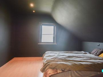 8830, Roeselare, Roulers, Flandre-Occidentale, Flandre