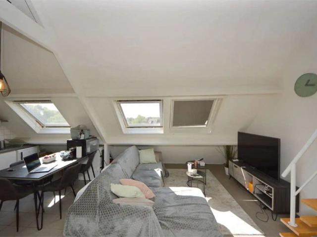GEZELLIGE STUDIO MET 1 SLAAPKAMER