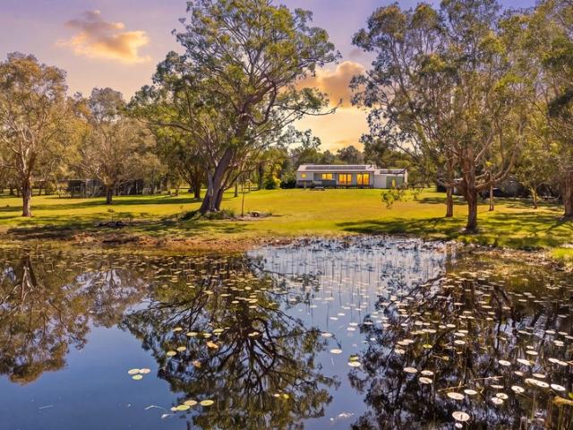 Gimme a Home amongst the Gum Trees!