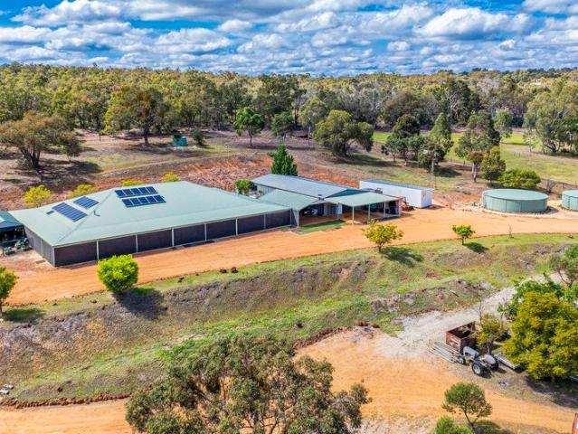 GINORMOUS MULTI GENERATIONAL RURAL MASTERPIECE