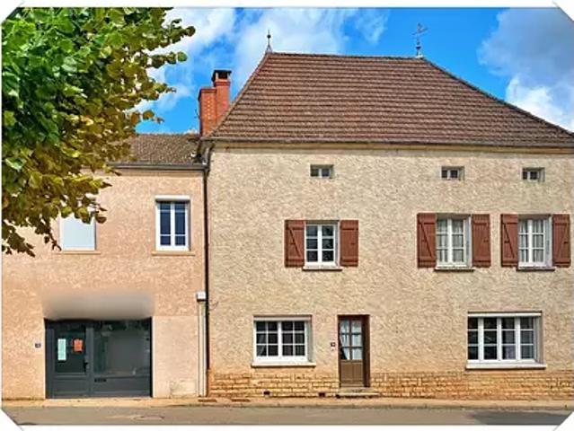 Gibles 71800 Achat / Vente maison 12 pièces t12 jardin cave