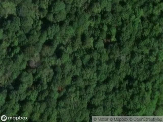 Gibson Branch Rd