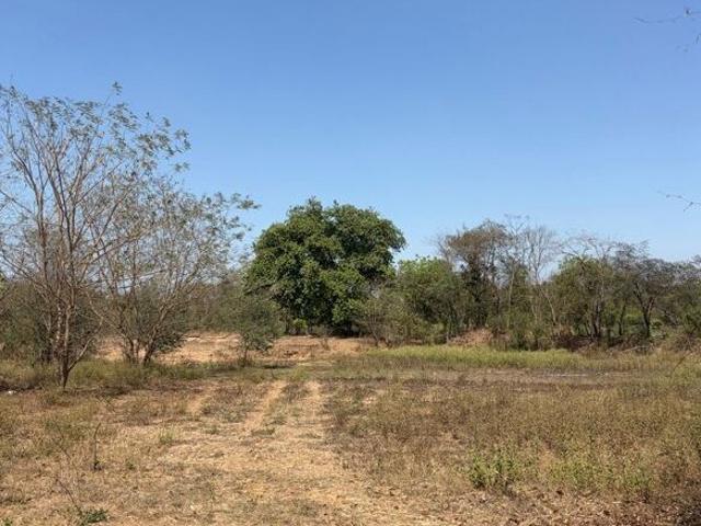 Gidc, Vapi City 220000 Sq.Ft. Plot in Gidc Vapi Listing ID: #10278