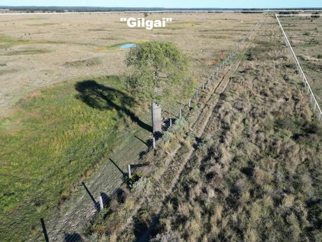 Gilgai Quality Cattle Country