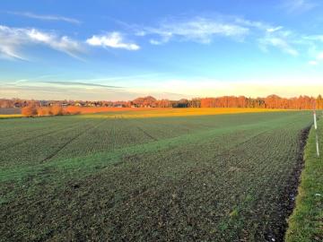 Gilgenberg am Weilhart, Bezirk Braunau am Inn, Oberösterreich