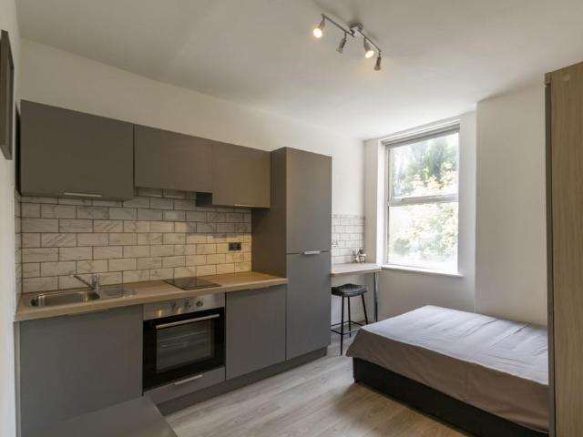 Gillott Road, Birmingham, B16 9LR, United Kingdom | Studio apartment for rent #131711989 | Rentberry