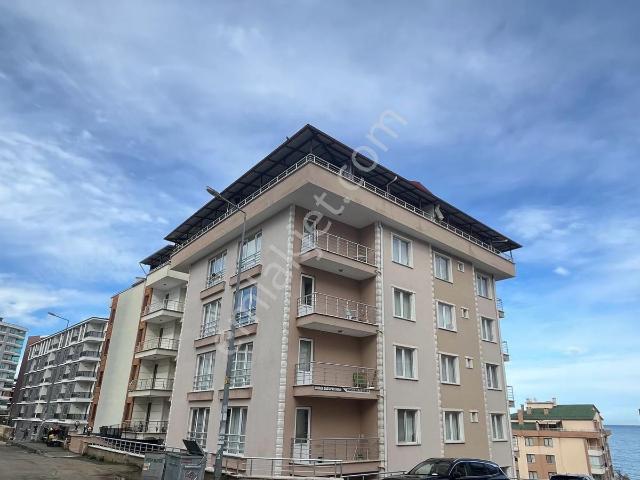 Giresun Erikliman'da Kiralık Eşyalı Eşyasız 1+1 Daire