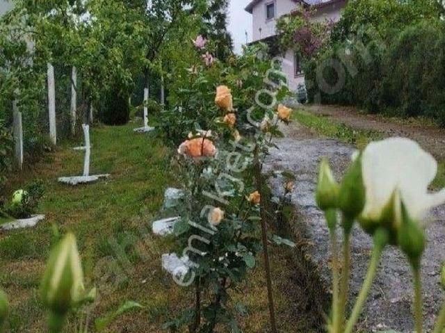 Giresun Tirebolu'da Bahçeli Dubleks Eşyalı Villa Ve 4210m2 Fındık Bahçesi