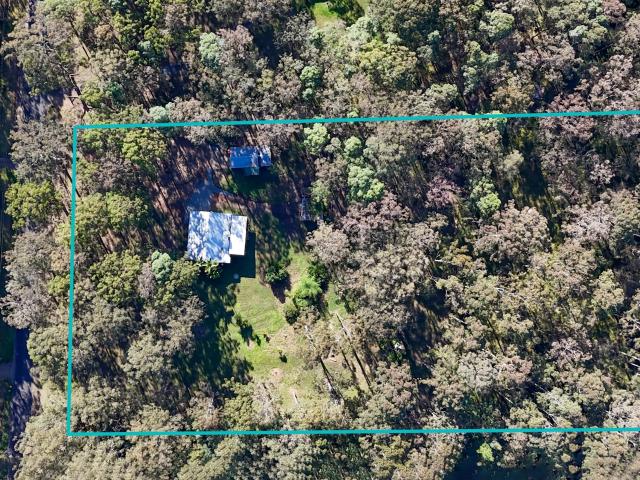 Give me a Home Among the Gum Trees