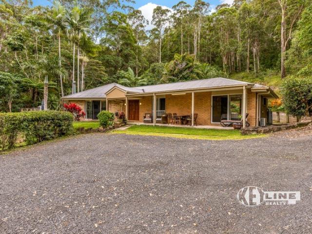 GIVE ME A HOME AMONG THE GUM TREES