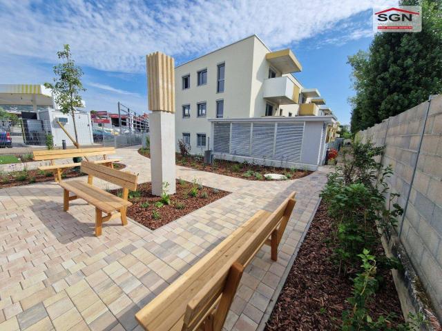 „GO 2 EISENSTADT 4 LIVING“ 3 Zimmer Wohnung für „Menschen die den frühen Vogel fangen“