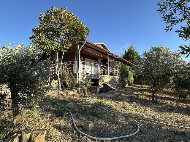 Gömeç'te Çiftlik Evi 2800 M2 Asfalt Yola Cephe