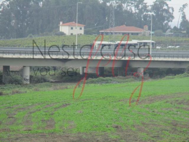 Gondomar Gondomar 105524929