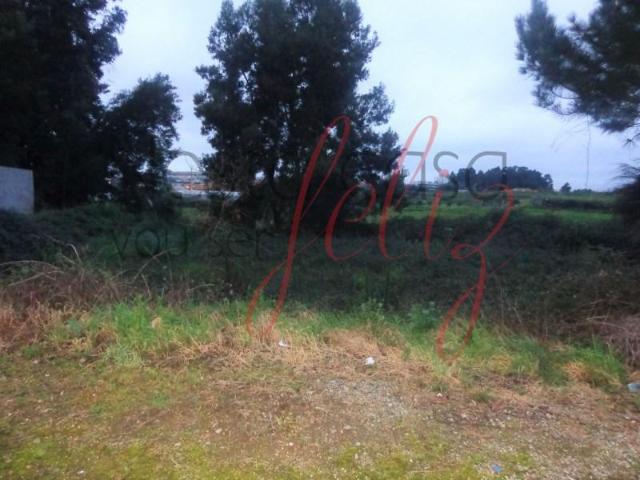 Gondomar Gondomar 105524930