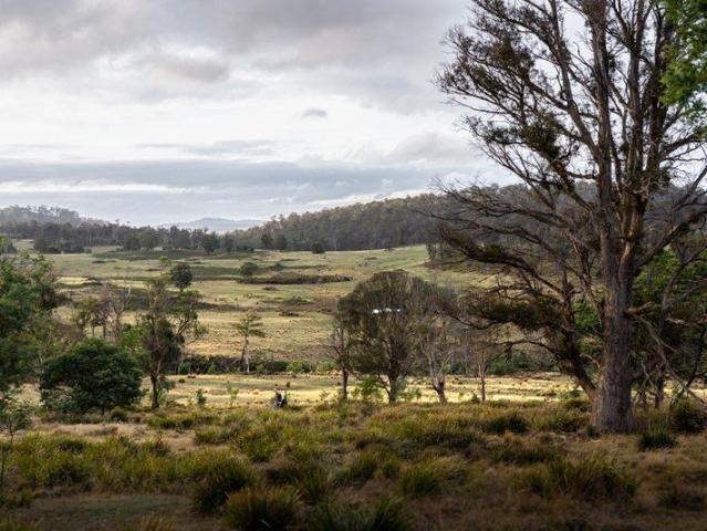 Goat Gully' & 'Old Hut Hill