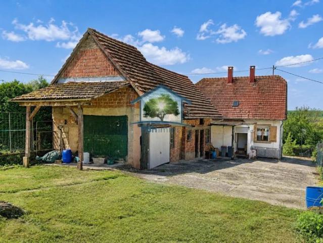 GOERSDORF 67 MAISON 5 pièces 112m² sur 13 ares