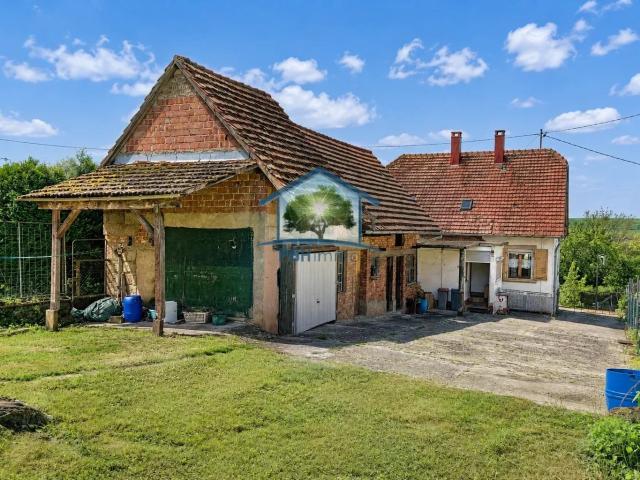 GOERSDORF 67 MAISON 5 pièces 112m² sur 13 ares
