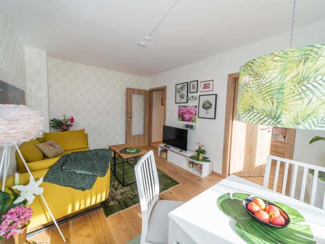 Goho Center Apartment