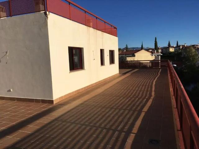 Gójar