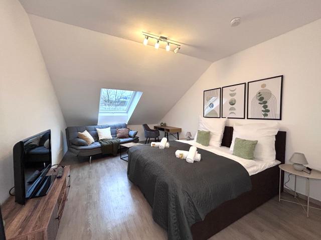 Goltan Apartment 9 Persons, 3 bathrooms, free parking, Regensburg Amsterdam Apartments for Rent
