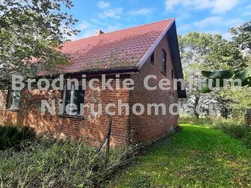 Siedlisko z budynkami i dużą działką w Golub Dobrzyń