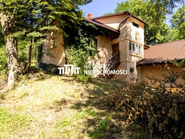 Golcowa 377 220 m², Golcowa