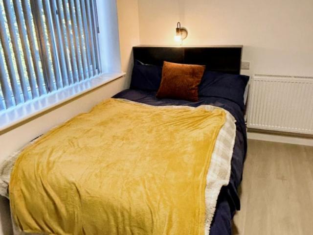 Gold Studio
