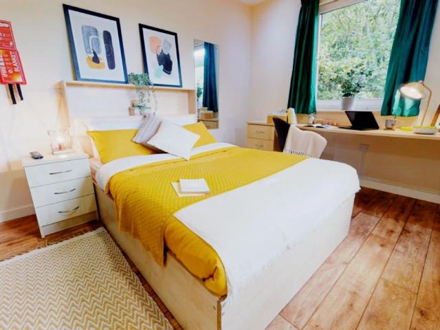 Gold Studio