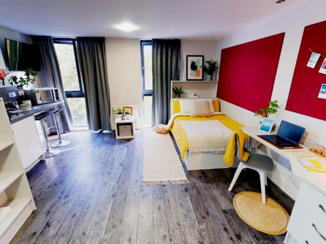 Gold Studio