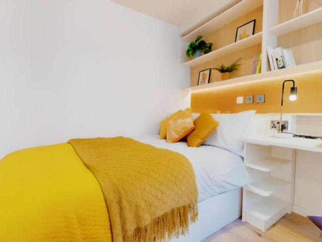 Gold Studio Plus