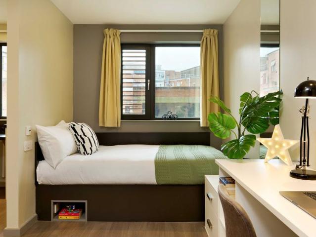 Gold Studio Single Occupancy