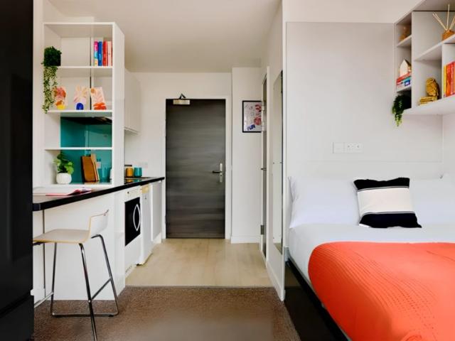 Gold Studio Single Occupancy