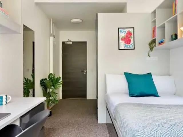Gold Studio Single Occupancy