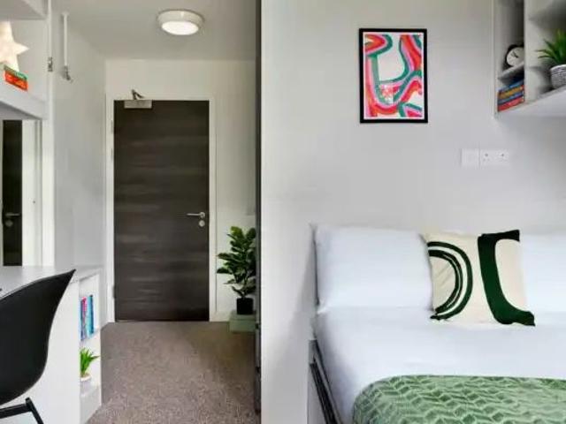 Gold Studio Single Occupancy