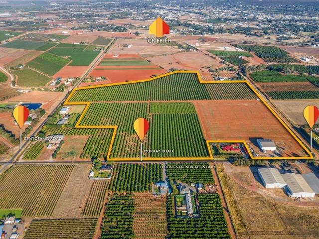 Golden Citrus Farm Prospect