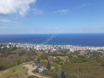 Golden Key Gayrimenkul'den Satılık Eşyalı Daire