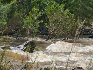 Back Creek, Tenterfield, Southern Downs Regional, Queensland