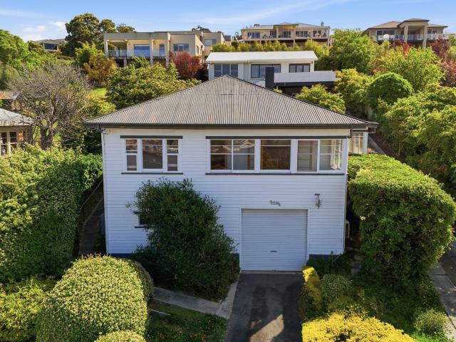 Golden Opportunity on Forest Road Trevallyn