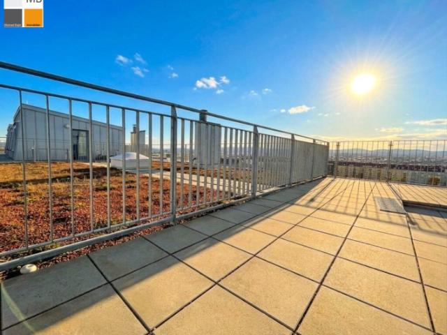 Golden sunset i mb immobilien