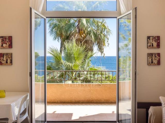 Golfe Juan Palm Eden 2p vue mer piscine accès mer