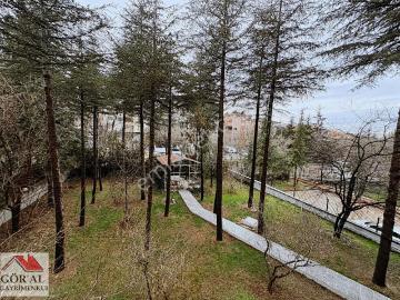 Sokullu Mehmet Paşa Mah , Çankaya, Ankara ili, İç Anadolu Bölgesi