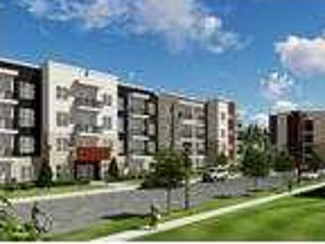 Gorgeous 1 Bd 1 Ba Now Available $1285 Per Month