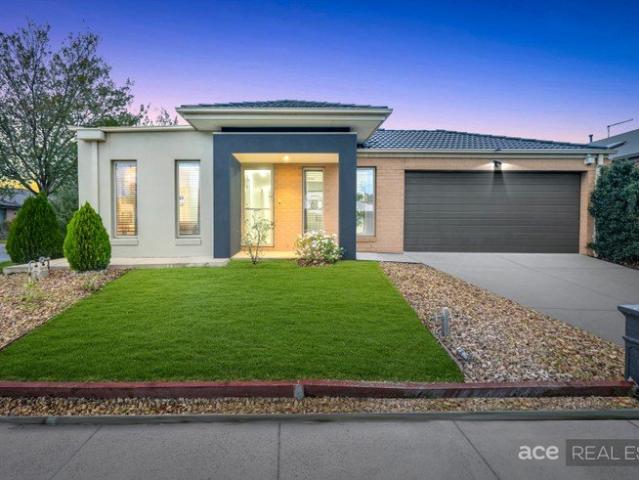 Gorgeous, Warm, Opulent Living with A Fabulous Feel