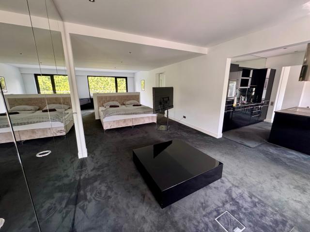 Gorgeous and bright suite
