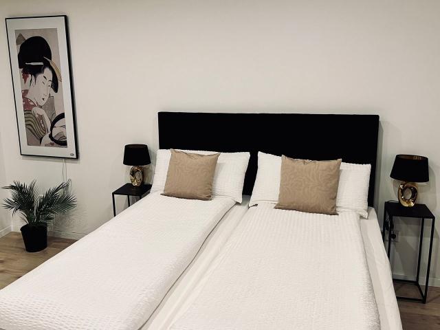 Gorgeous, completely new renovated flat in Old Town Düsseldorf, Dusseldorf Amsterdam Apartments for Rent