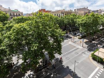 Gorgeous double bedroom in a 9 bedroom flat, in Esquerra de l'Eixample