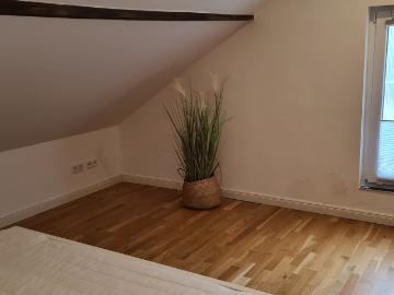 Gorgeous loft Detmold